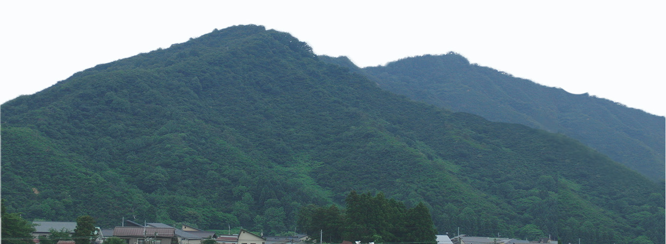 山の写真のメインビジュアル